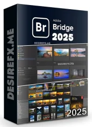 Adobe Bridge 2025 Old & Previous Versions icon/logo